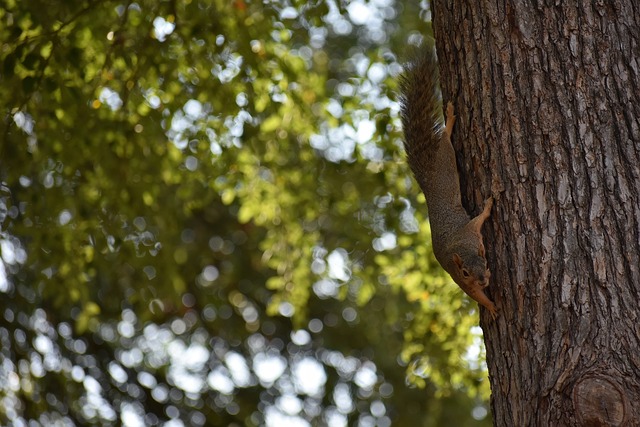 意大利杯焦点战：亚特兰大 VS 热那亚，顶级分析决定赛事走向。